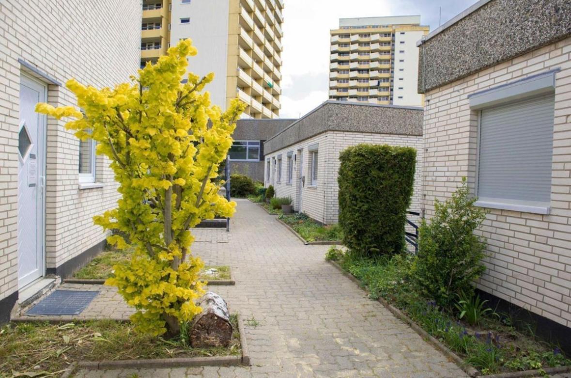 Ferienwohnung 479 Mit Schwimmbad,Sauna Und Bar In Panoramic Hohegeiss Braunlage Exterior photo